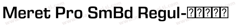Meret Pro SmBd Regul字体转换